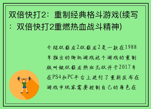 双倍快打2:重制经典格斗游戏(续写:双倍快打2重燃热血战斗精神)